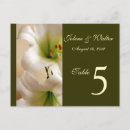 Search for occasions horizontal postcards Number