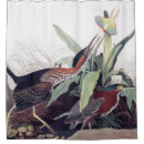 Search for heron shower curtains Wildlife