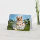 Search for chihuahua easter cards Eggs