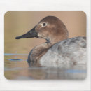 Recherche de profil tapis souris Oiseau