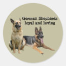 Search for police dogs stickers Gsd