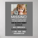Search for lost posters Missing pet