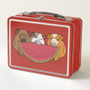 Search for guinea pig lunch boxes Cute