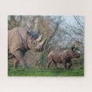 Recherche de veau puzzles Rhinocéros