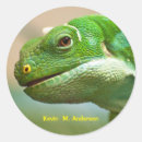 Search for lizard photography Exotic