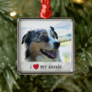 Recherche de aussies ornaments Chiens