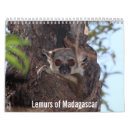 Search for lemur calendars Wildlife
