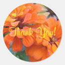 Search for marigold stickers Fall