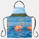 Search for flock aprons Bird