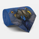 Search for avians ties For him
