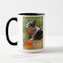 Search for chihuahua stuff mugs Cute