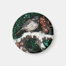 Recherche de oiseaux magnets Neige