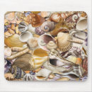 Recherche de coquillage tapis souris Côtier