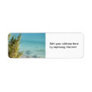 Search for blue water return address labels Summer