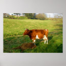 Search for dairy cow posters Animal