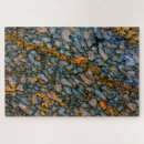 Recherche de fossiles puzzles Darrell gulin