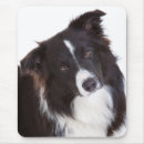 Search for black border mousepads Dog