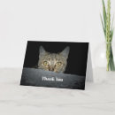 Recherche de cat remerciements cartes Tabby
