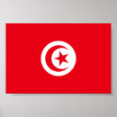 Recherche de tunisien posters Drapeau de la tunisie