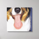 Search for shot canvas prints Happiness