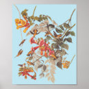 Search for ruby red posters Nature