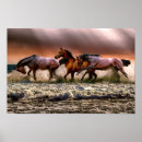 Recherche de course de chevaux posters Nature