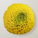 Search for chrysanthemum pillows Beautiful