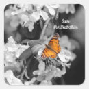 Search for american stickers Nature