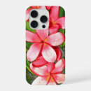 Search for plumeria flowers iphone cases Frangipani