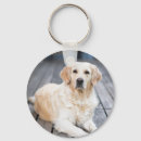 Recherche de races porteclés Races de chiens