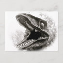 Recherche de t rex cartes postales Amusant