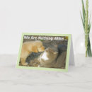 Search for kitty love cards Funny