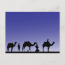 Recherche de trois rois cartes postales Chameaux