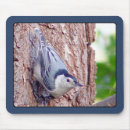 Search for birder electronics Animal