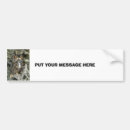 Search for owl bumper stickers Nature