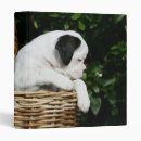 Search for bite binders Dog