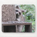 Recherche de raton tapis souris Nature