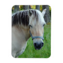 Recherche de horse refrigérateur magnets Amoureux des animaux