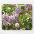 Recherche de seringue tapis souris Pour tous