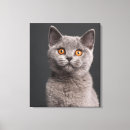 Search for british shorthair cat art Animals