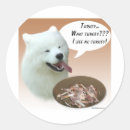 Search for samoyed dog stickers Sammy