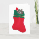 Search for dwarf christmas cards Pet