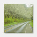 Search for highway magnets Nature