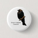 Recherche de colibri badges Nature
