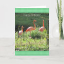 Search for long neck cards Nature