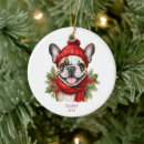 Recherche de bouledogue francais ornements Pour animaux