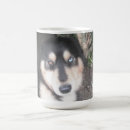 Search for one eye mugs Dogs