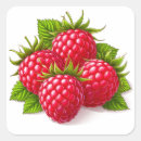 Search for ripe stickers Fresh