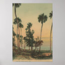 Search for view with trees posters Palm