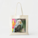 Search for budgie bags Cute